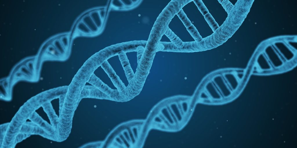ДНК - почему мы не понимаем друг друга