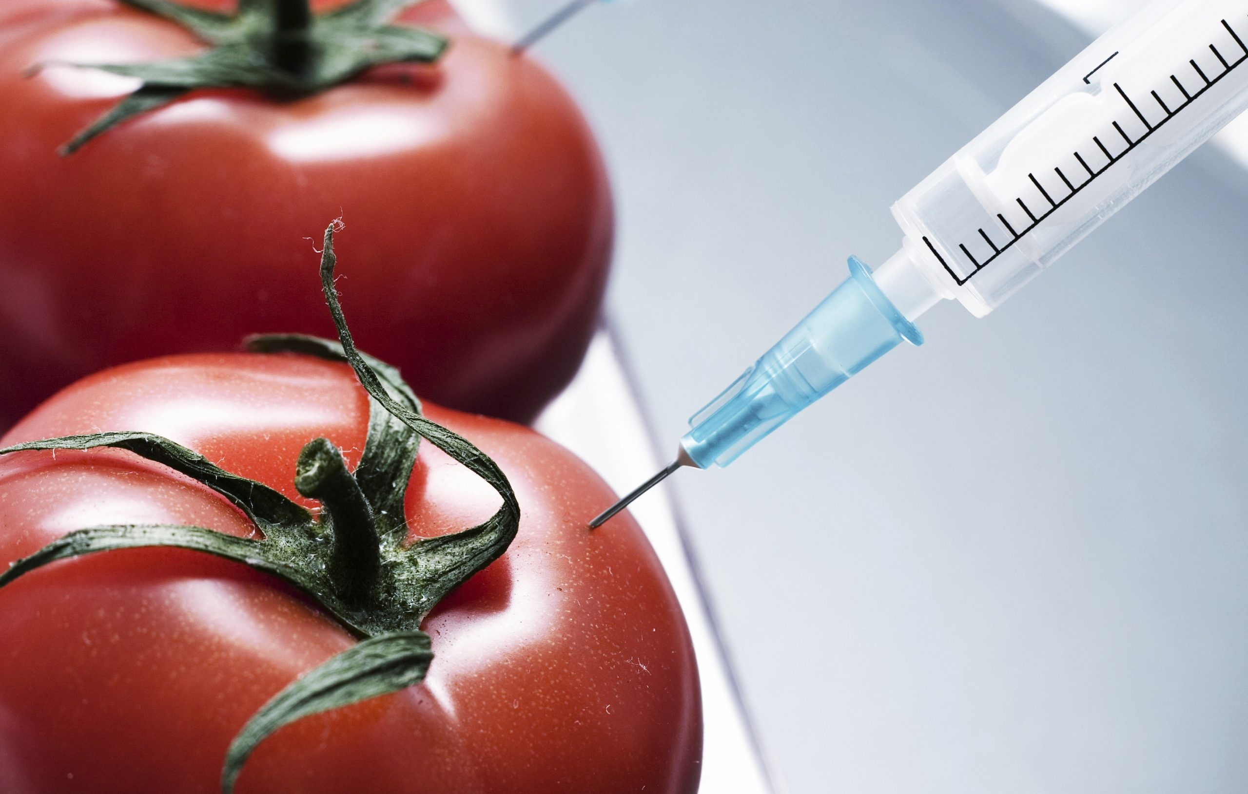 ГМО: спасение или верная смерть?