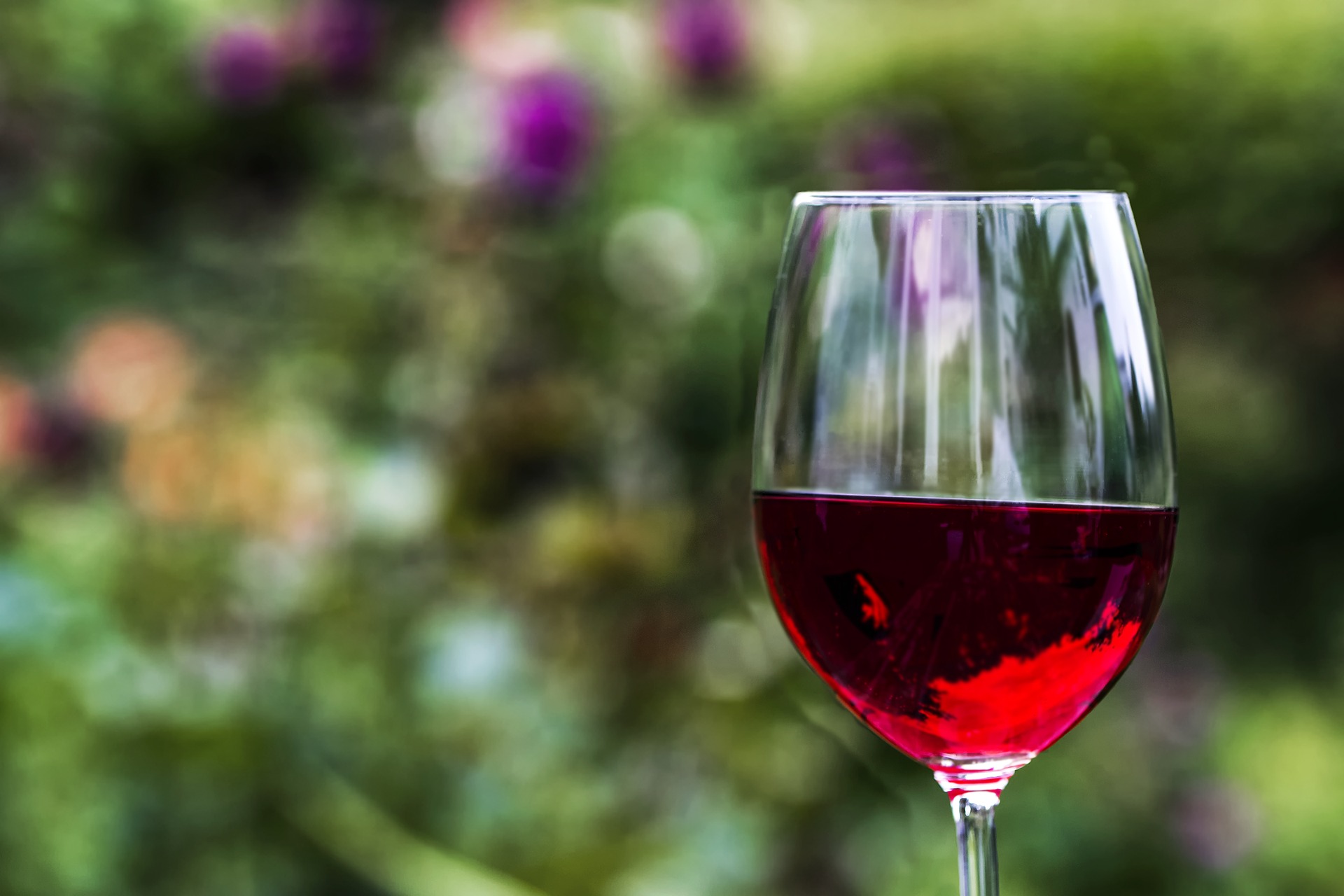 Как правильно выбрать красное вино?