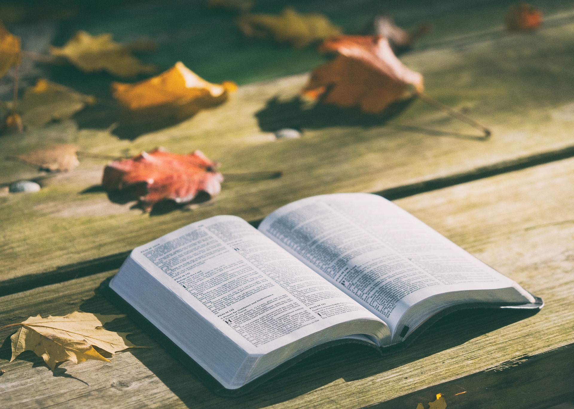 15 Цитат из Библии, меняющие жизнь